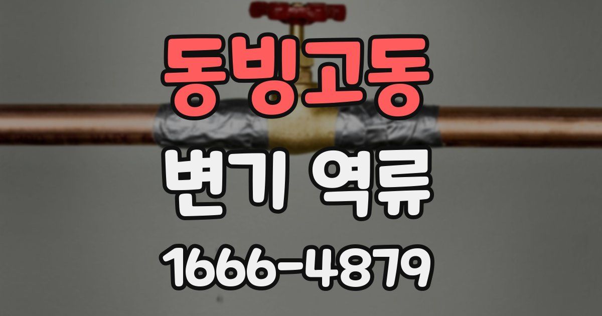 동빙고동 변기 역류