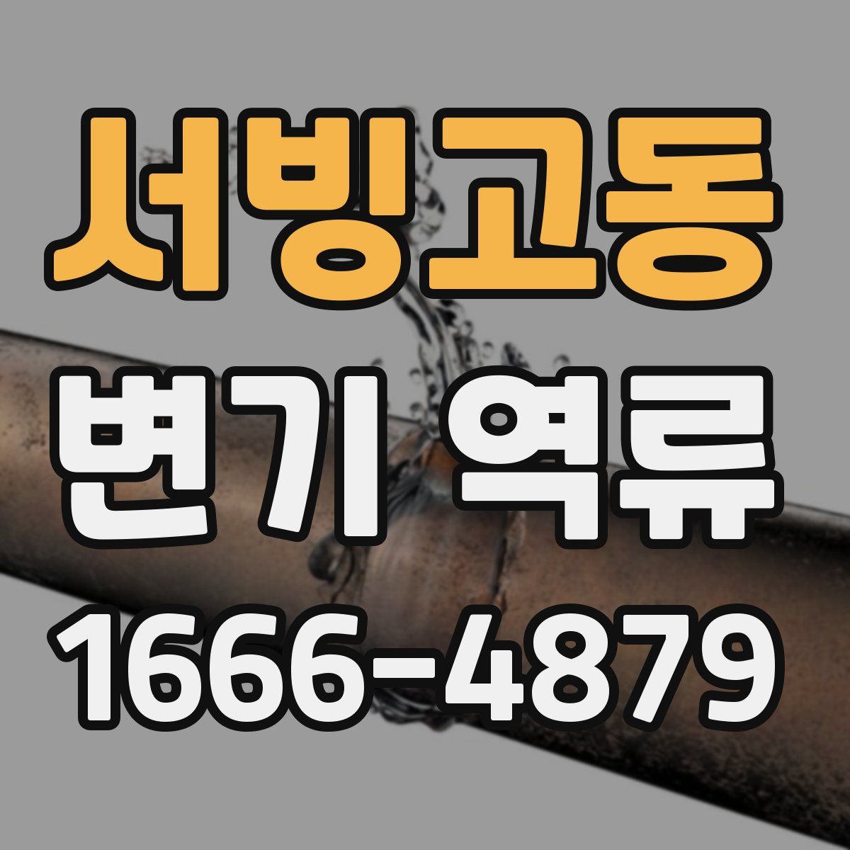 서빙고동 변기 역류