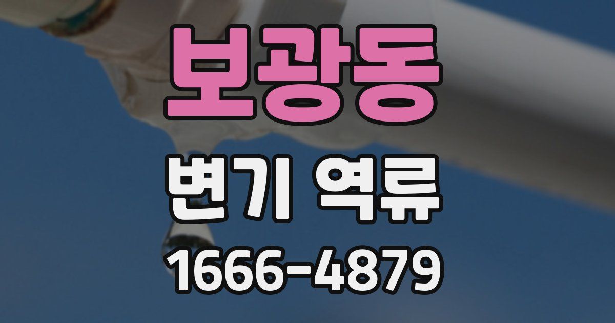 보광동 변기 역류