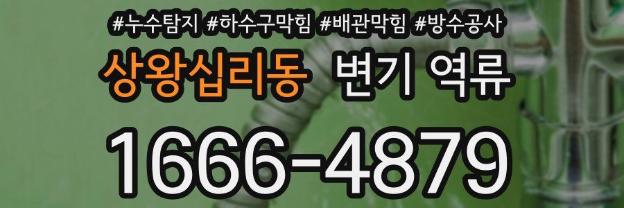 상왕십리동 변기 역류