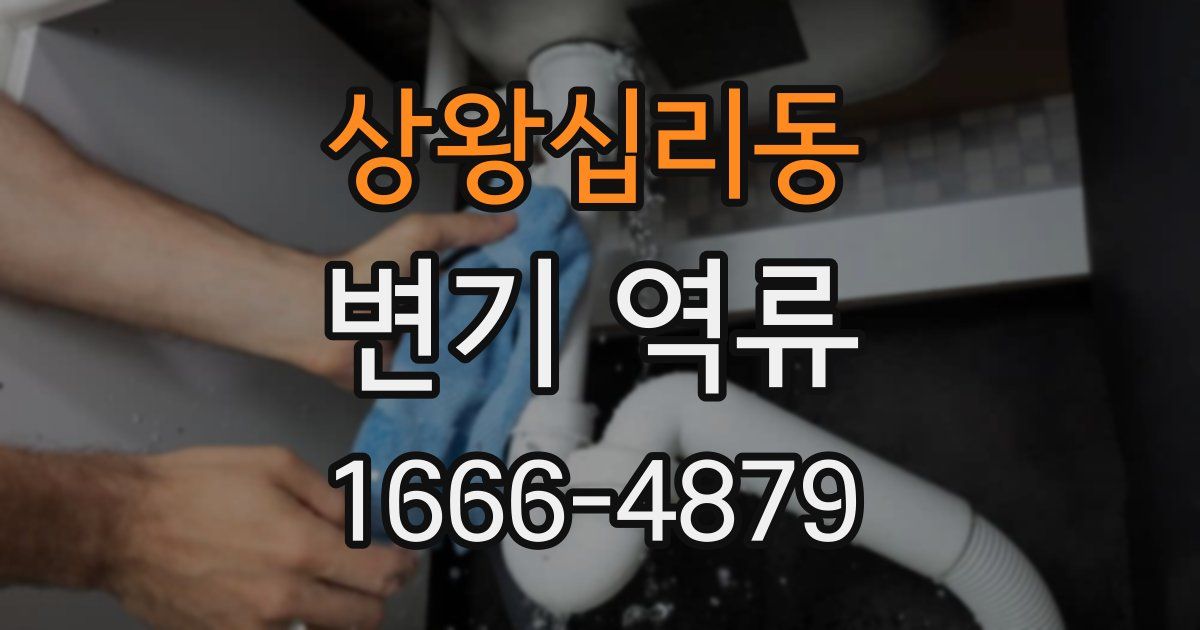 상왕십리동 변기 역류