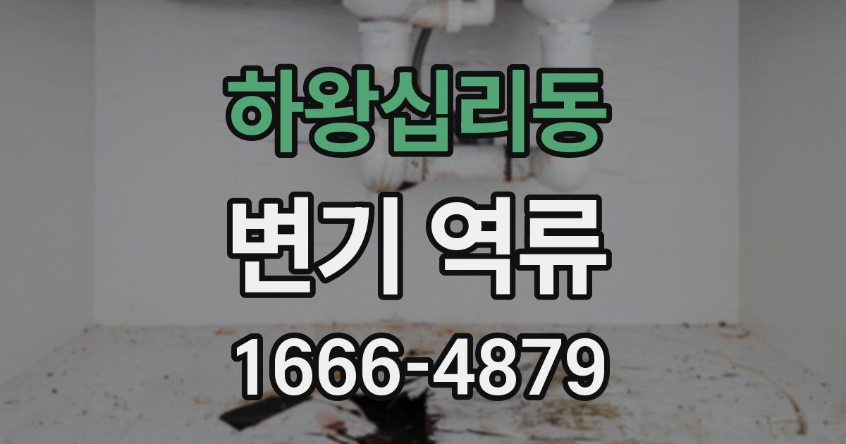 하왕십리동 변기 역류