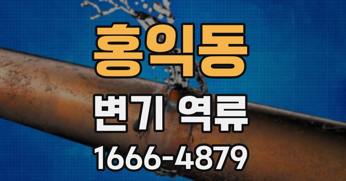 홍익동 변기 역류