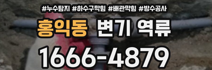 홍익동 변기 역류