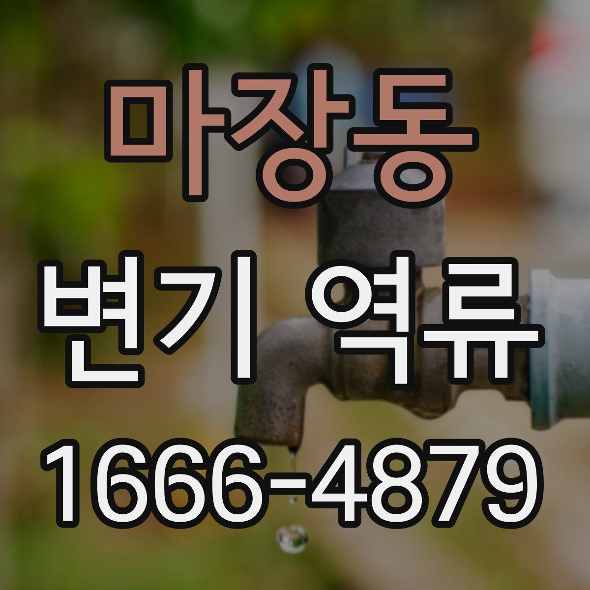 마장동 변기 역류