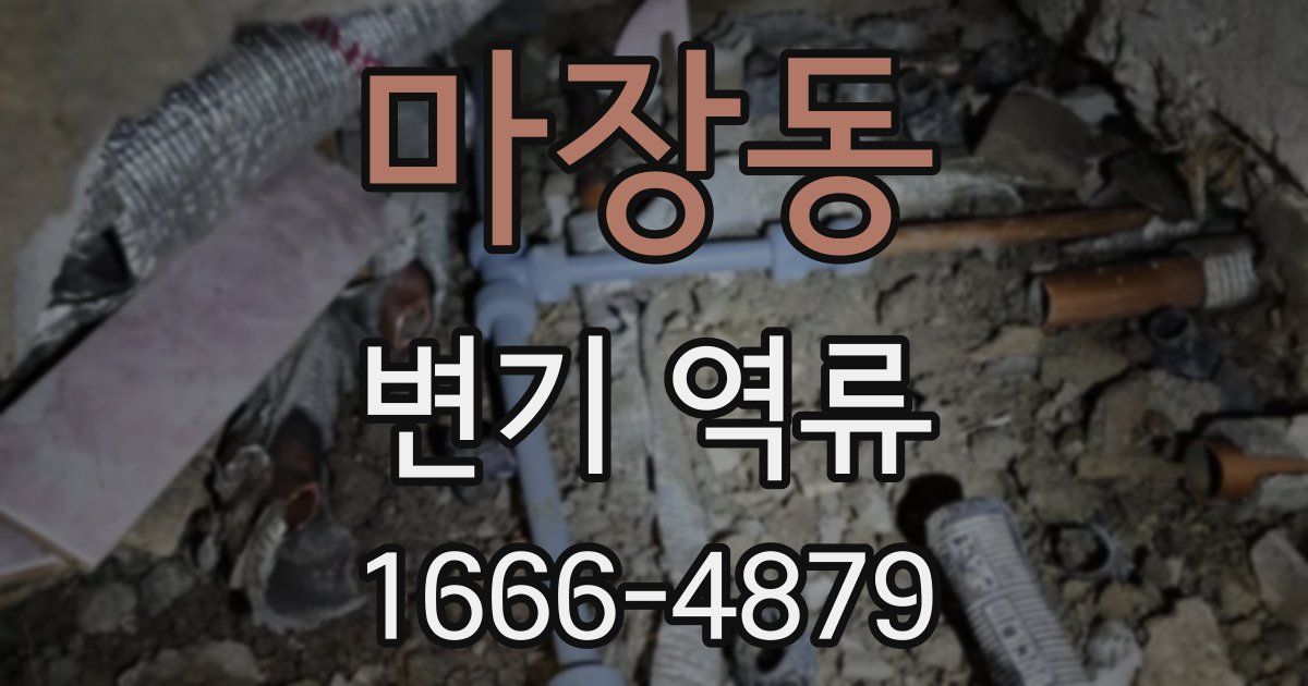 마장동 변기 역류