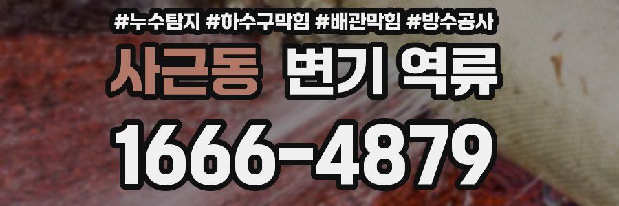 사근동 변기 역류