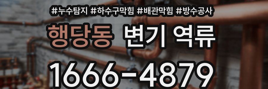 행당동 변기 역류