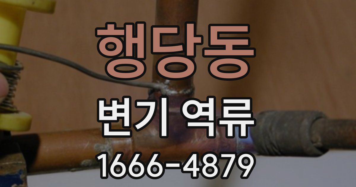 행당동 변기 역류