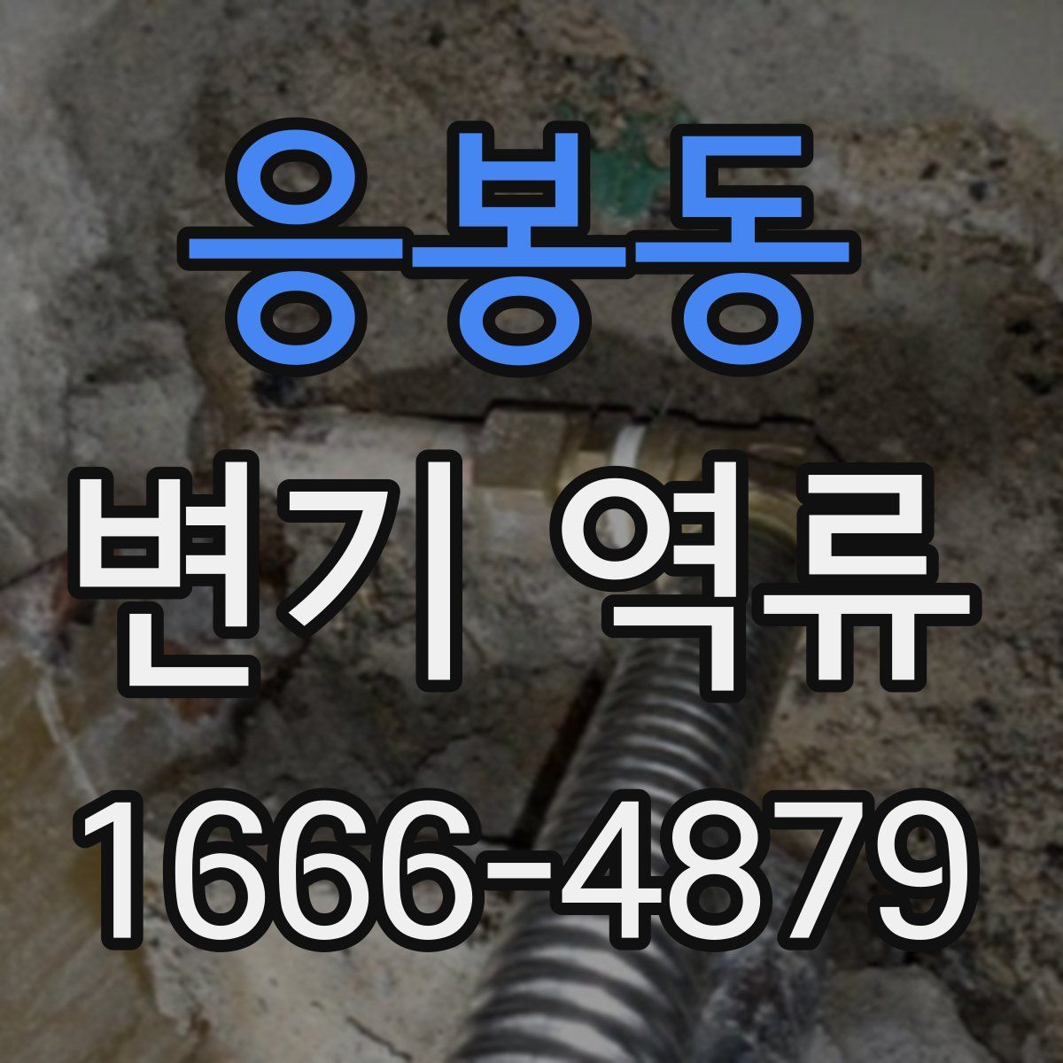 응봉동 변기 역류