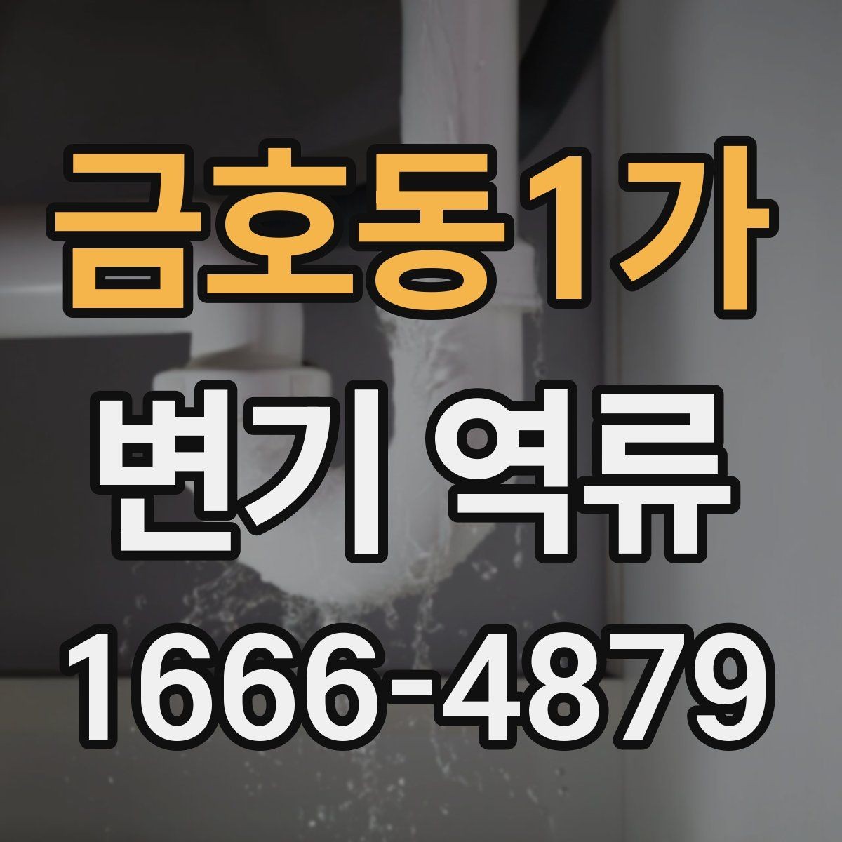 금호동1가 변기 역류 변기 내부보다 배관 쪽이 문제일 때