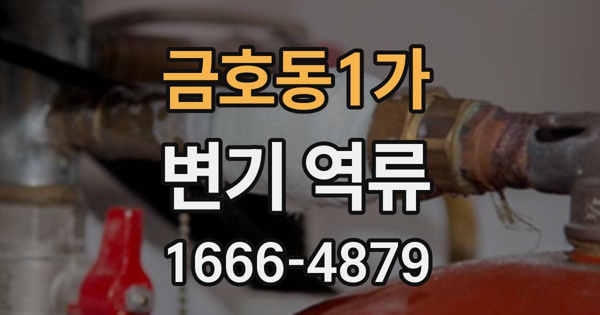금호동1가 변기 역류