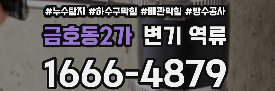 금호동2가 변기 역류