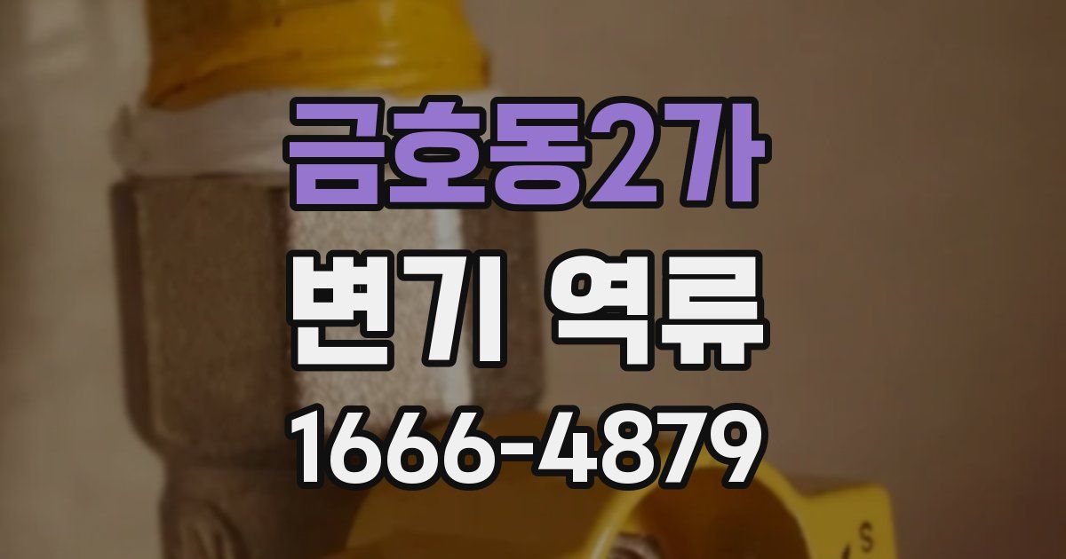 금호동2가 변기 역류