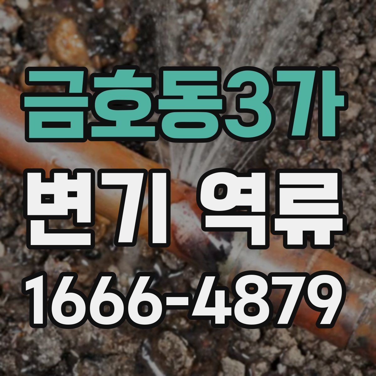 금호동3가 변기 역류 증상별로 확인하는 부분