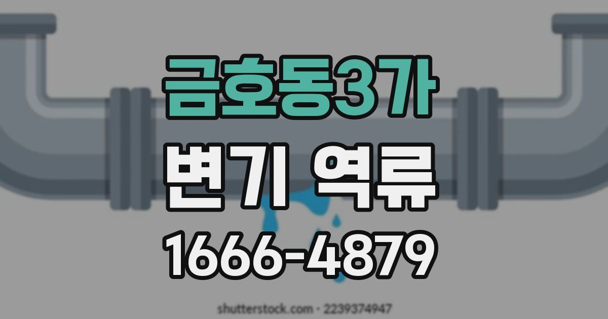 금호동3가 변기 역류