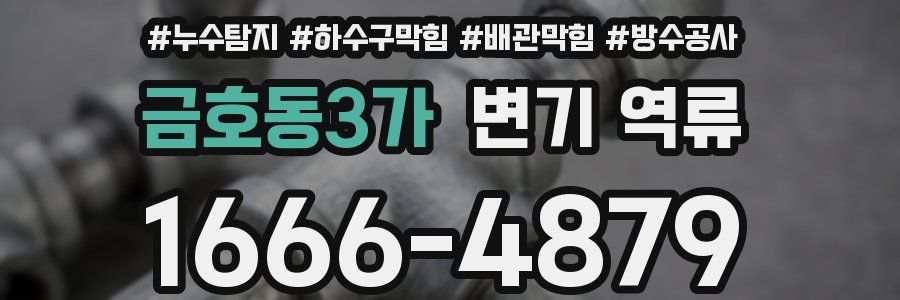 금호동3가 변기 역류