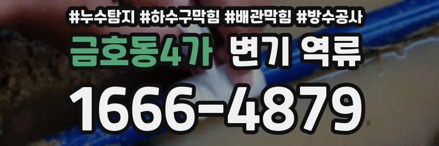 금호동4가 변기 역류
