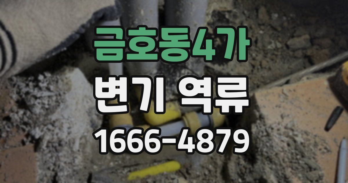금호동4가 변기 역류