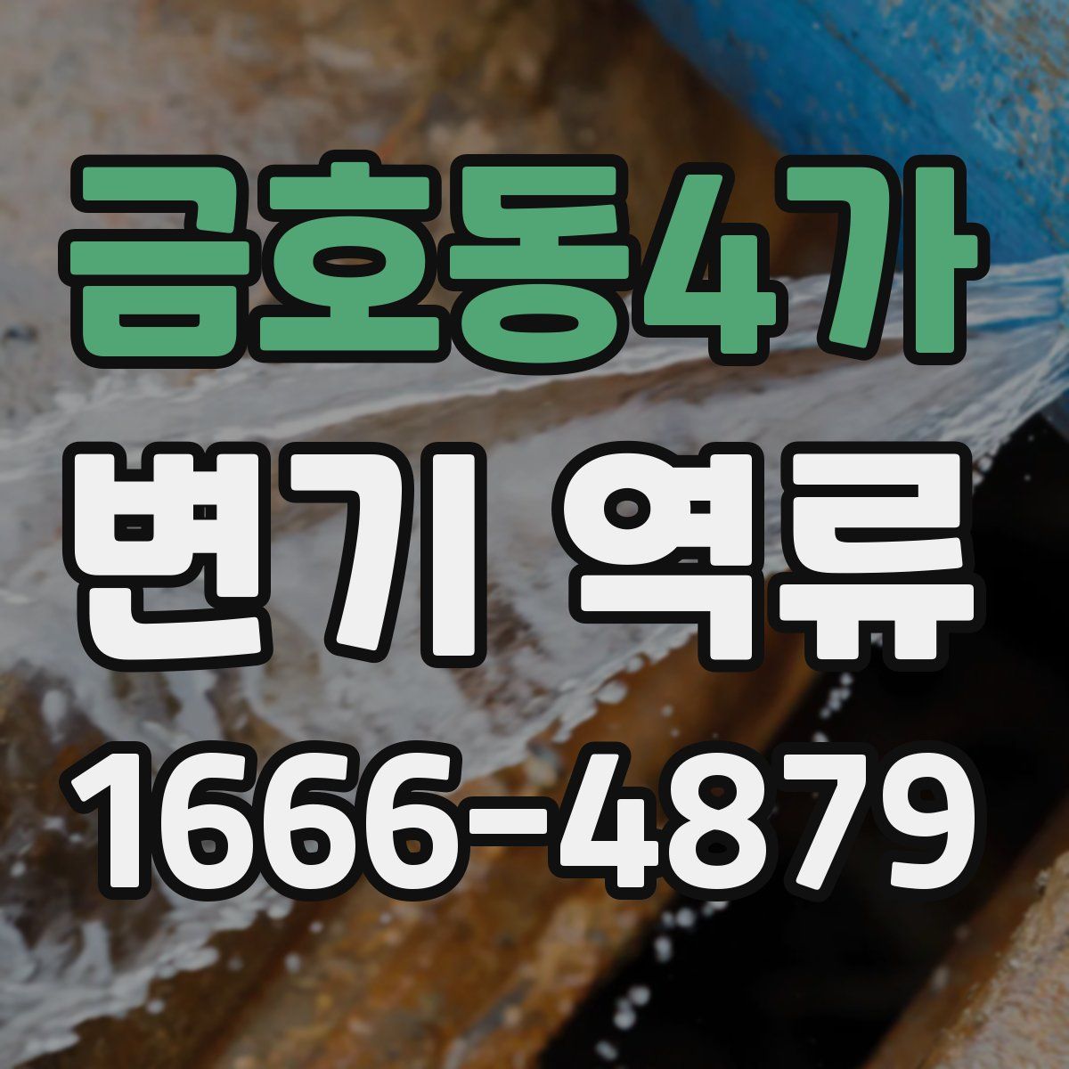 금호동4가 변기 역류