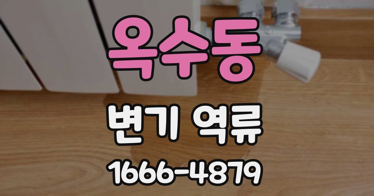 옥수동 변기 역류