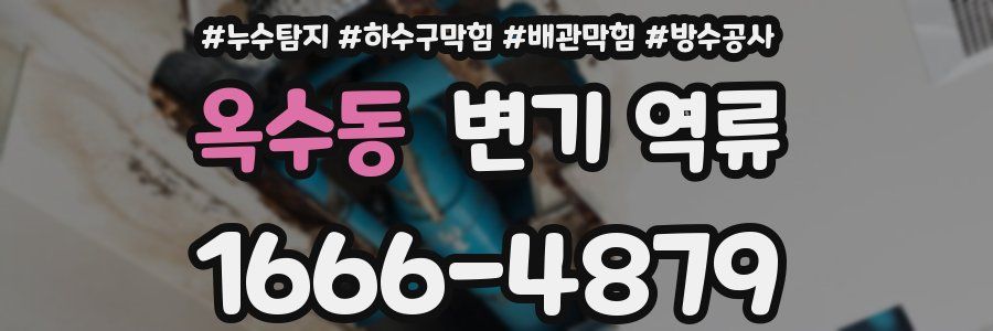 옥수동 변기 역류