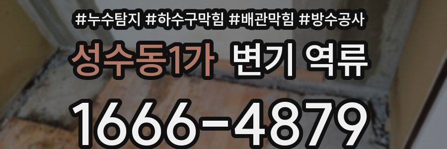 성수동1가 변기 역류
