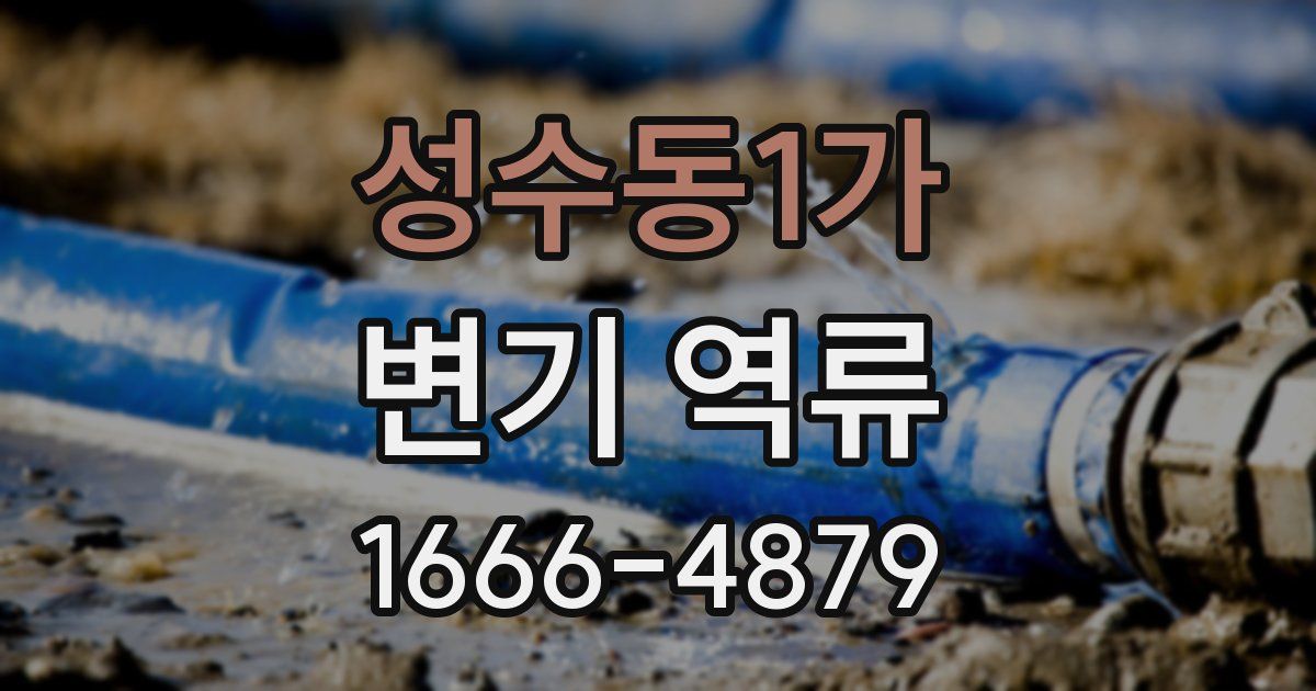 성수동1가 변기 역류