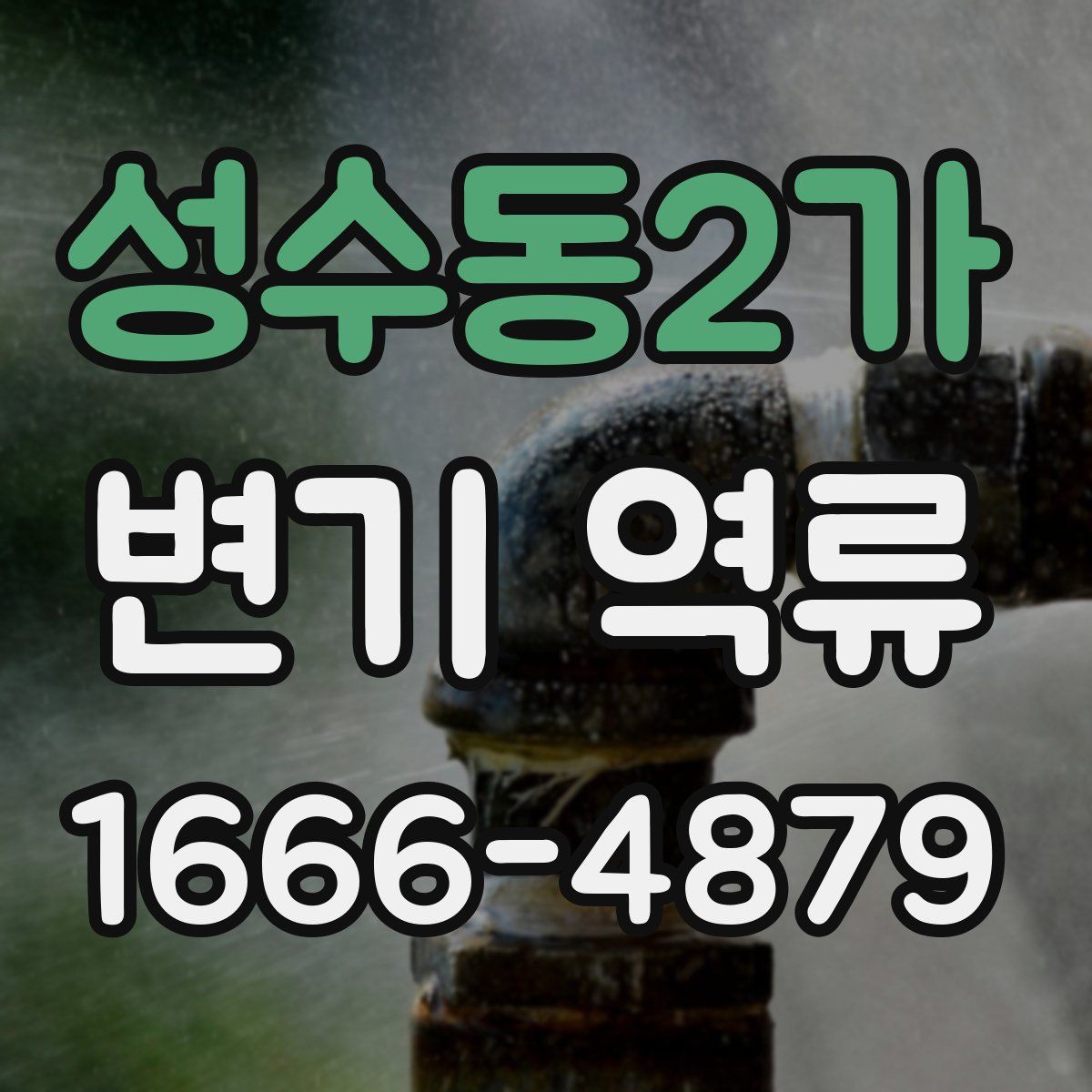 성수동2가 변기 역류