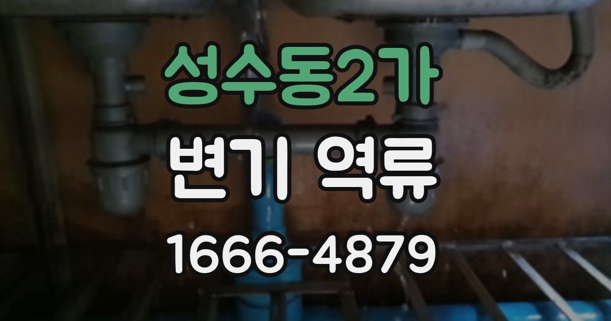 성수동2가 변기 역류