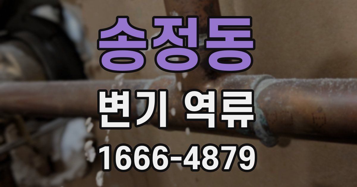 송정동 변기 역류