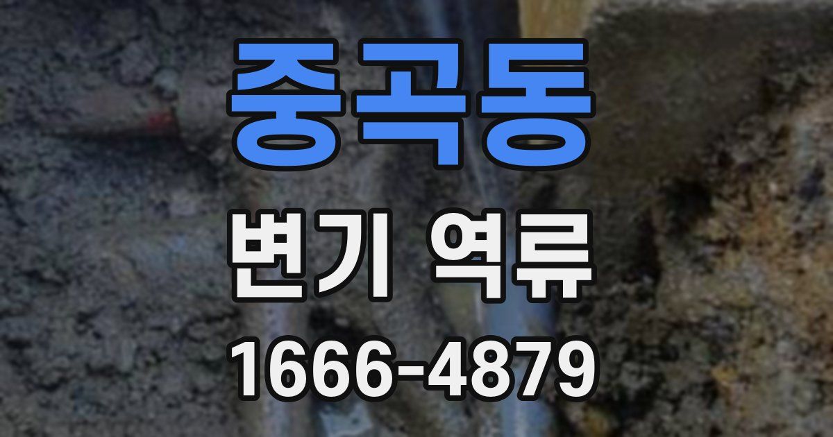 중곡동 변기 역류