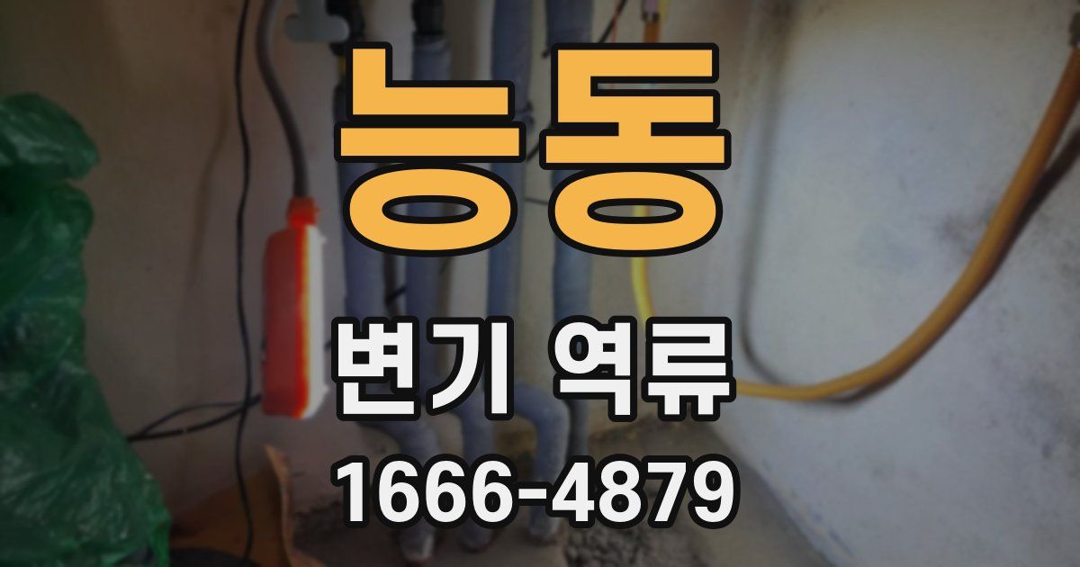 능동 변기 역류