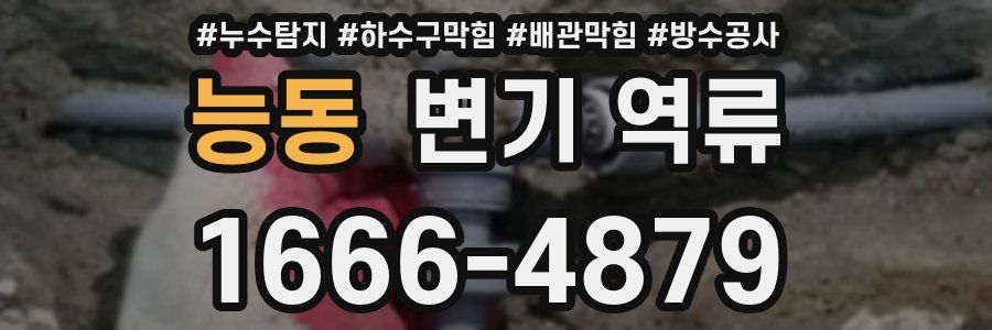 능동 변기 역류