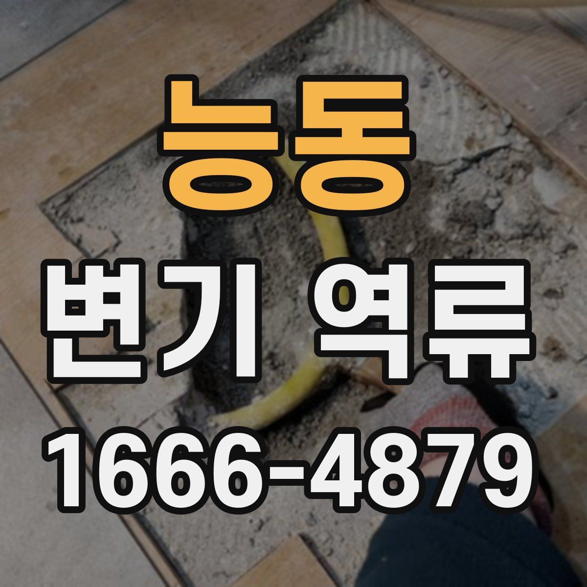 능동 변기 역류