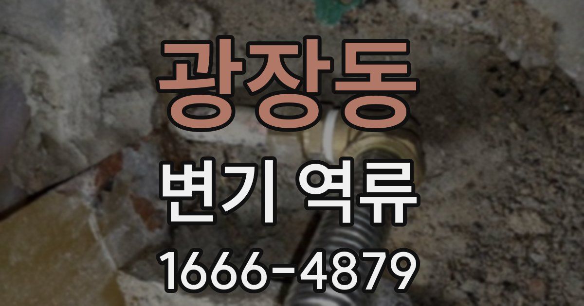 광장동 변기 역류