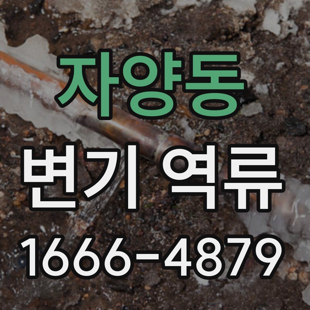 자양동 변기 역류 소리와 물 흐름으로 알 수 있는 이상