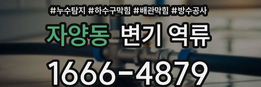 자양동 변기 역류