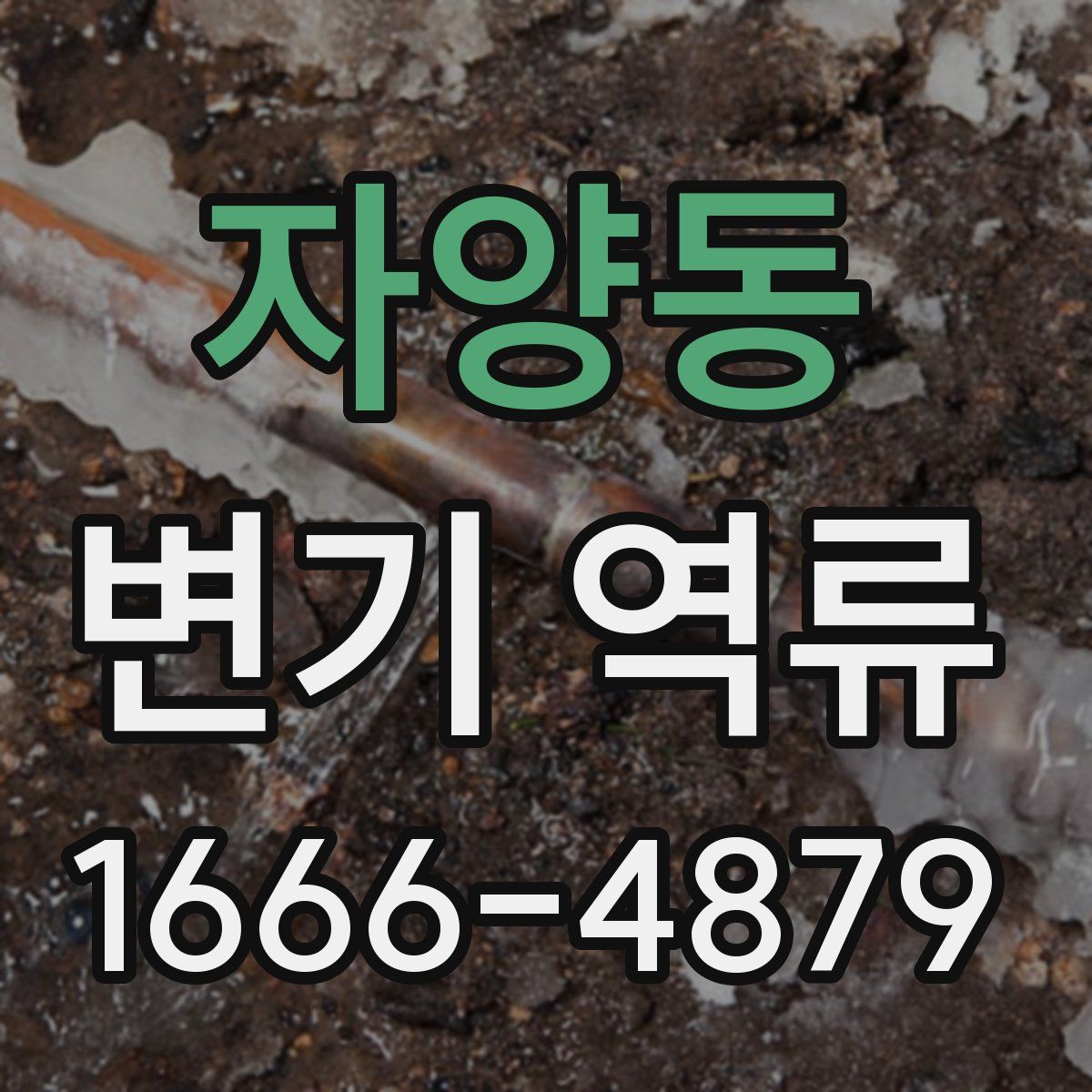 자양동 변기 역류