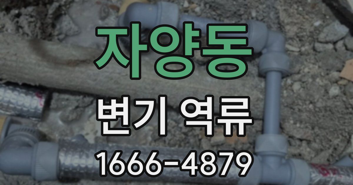 자양동 변기 역류