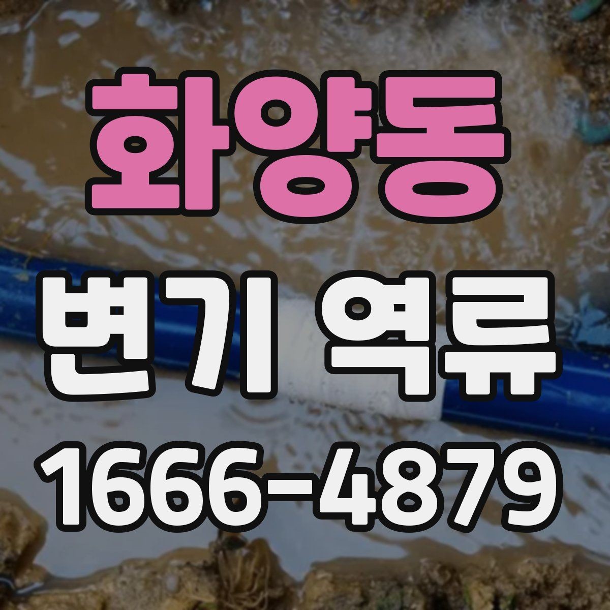 화양동 변기 역류 간단한 자가 점검으로 볼 수 있는 범위