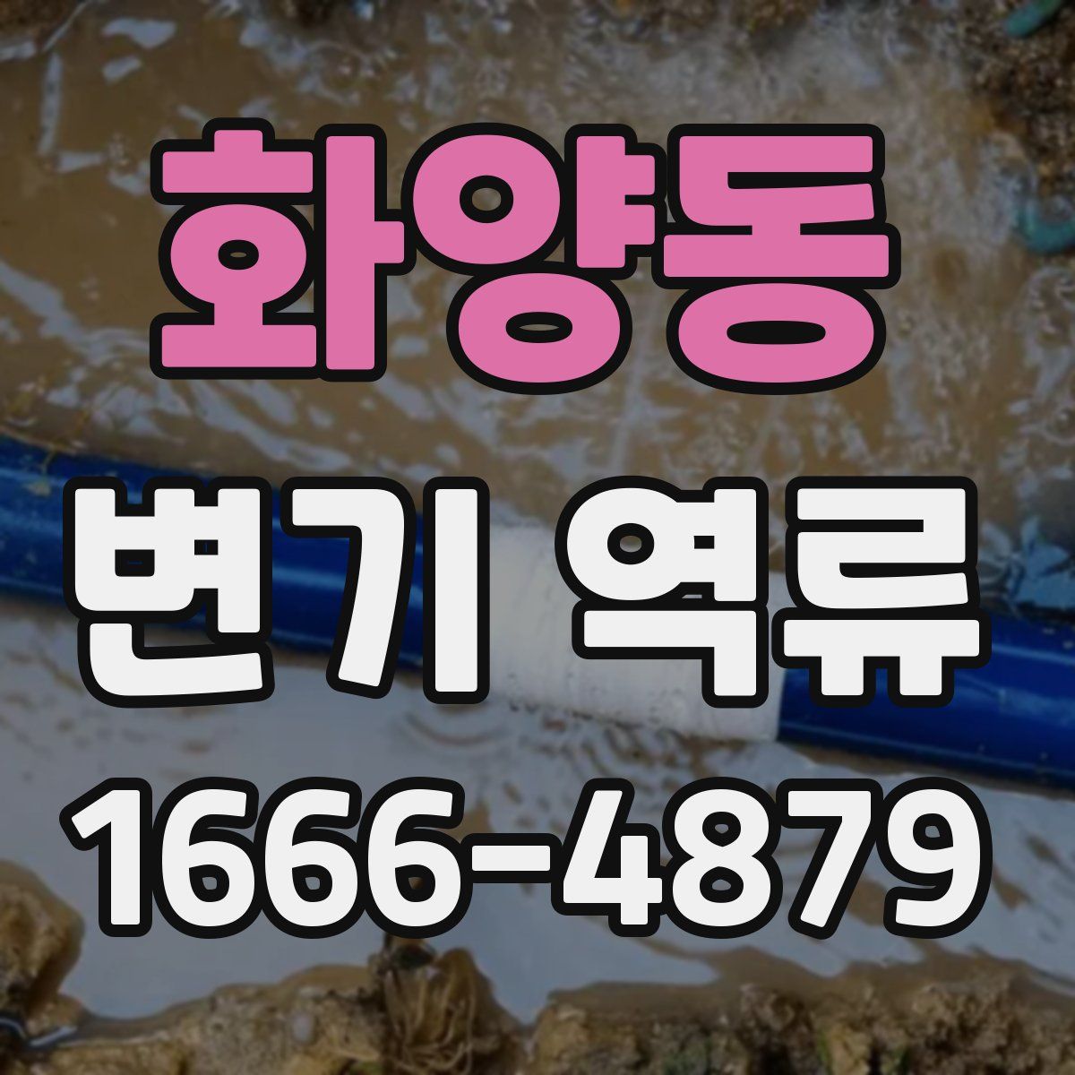 화양동 변기 역류