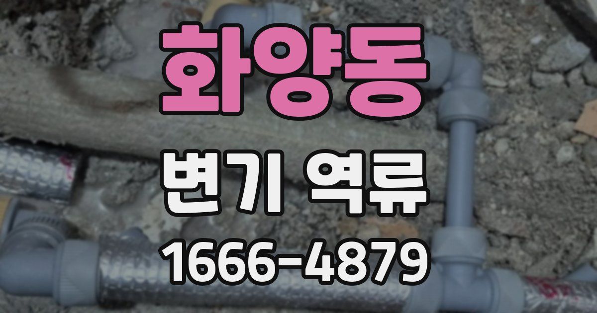 화양동 변기 역류