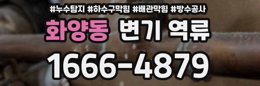 화양동 변기 역류