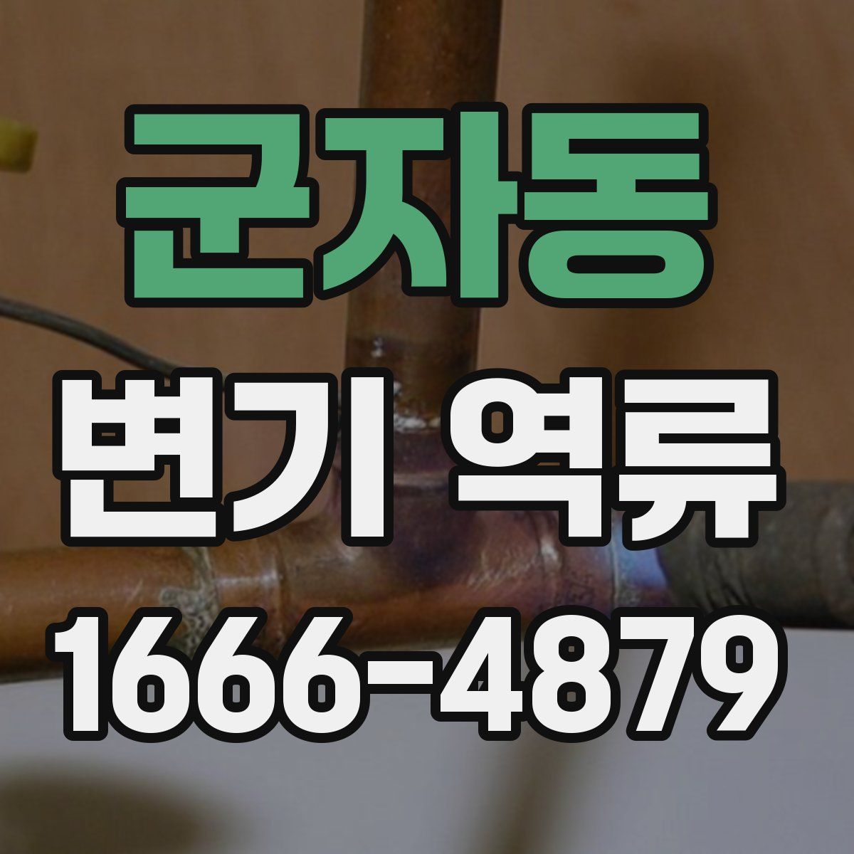 군자동 변기 역류
