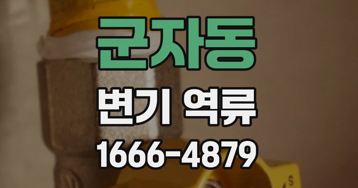 군자동 변기 역류