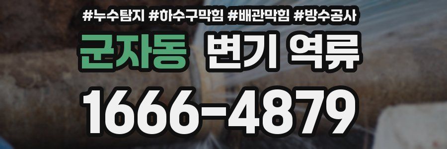 군자동 변기 역류