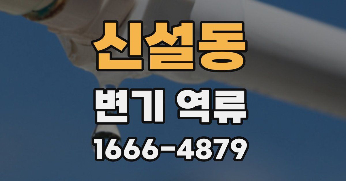 신설동 변기 역류
