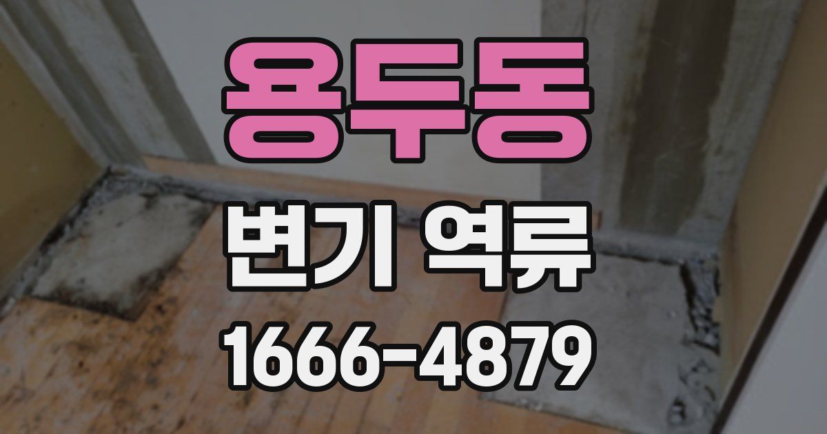 용두동 변기 역류