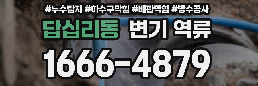 답십리동 변기 역류